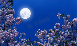 中秋阳台赏月的唯美句子 中秋月亮唯美图片